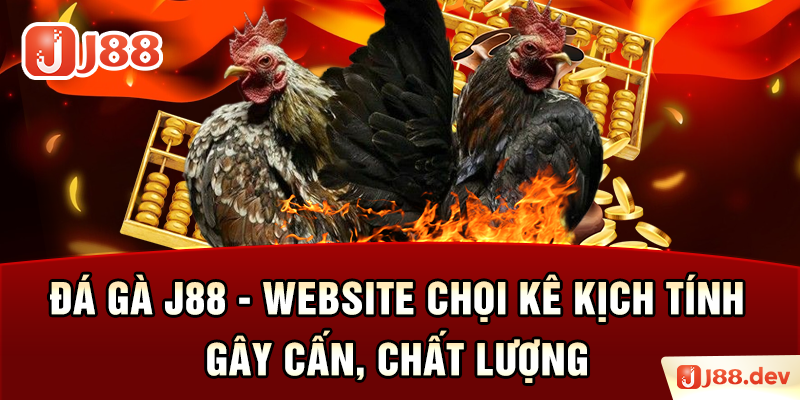 Đá Gà J88 – Website Chọi Kê Kịch Tính, Gây Cấn, Chất Lượng