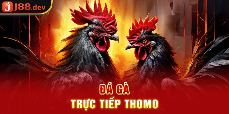 Trực tiếp đá gà thomo