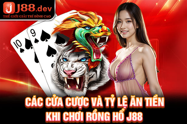 Các cửa cược và tỷ lệ ăn tiền khi chơi Rồng Hổ J88