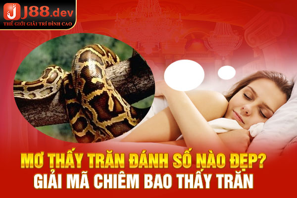 Mơ Thấy Trăn Đánh Số Nào Đẹp? Giải Mã Chiêm Bao Thấy Trăn