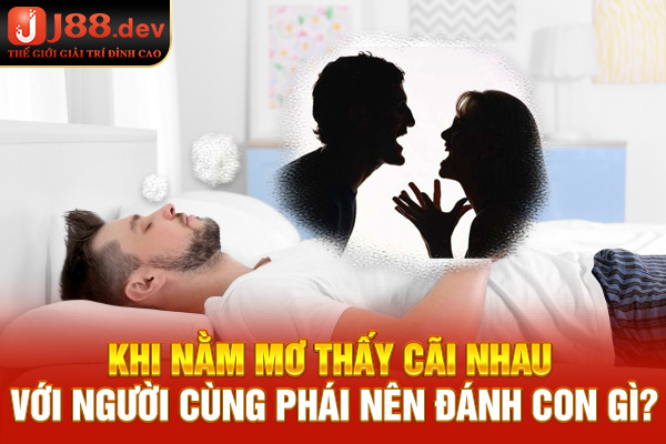 Nằm mơ thấy cãi nhau với người cùng phái